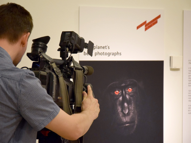 Lélegzetelállító képekkel nyított az 51. Wildlife Photographer of the Year / Év Természetfotósa kiállítás Budapesten