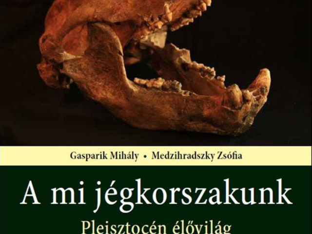 A mi jégkorszakunk