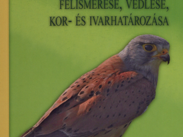 Megjelent: Hazai ragadozó madaraink felismerése, vedlése, kor- és ivarmeghatározása