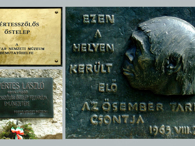 Samu, Pénzes Gyuri és a megkövesedett láb
