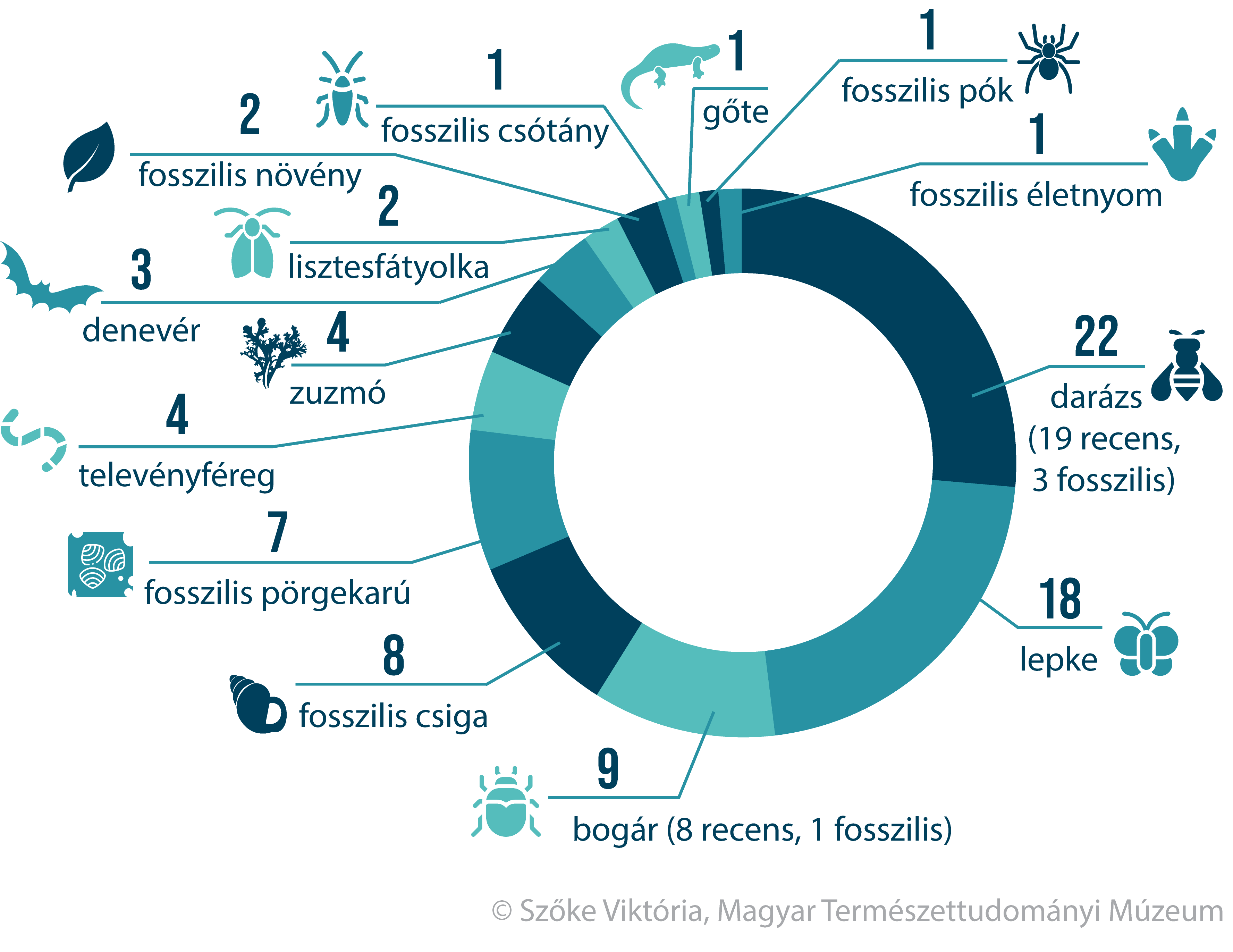 10_diagram2022.png