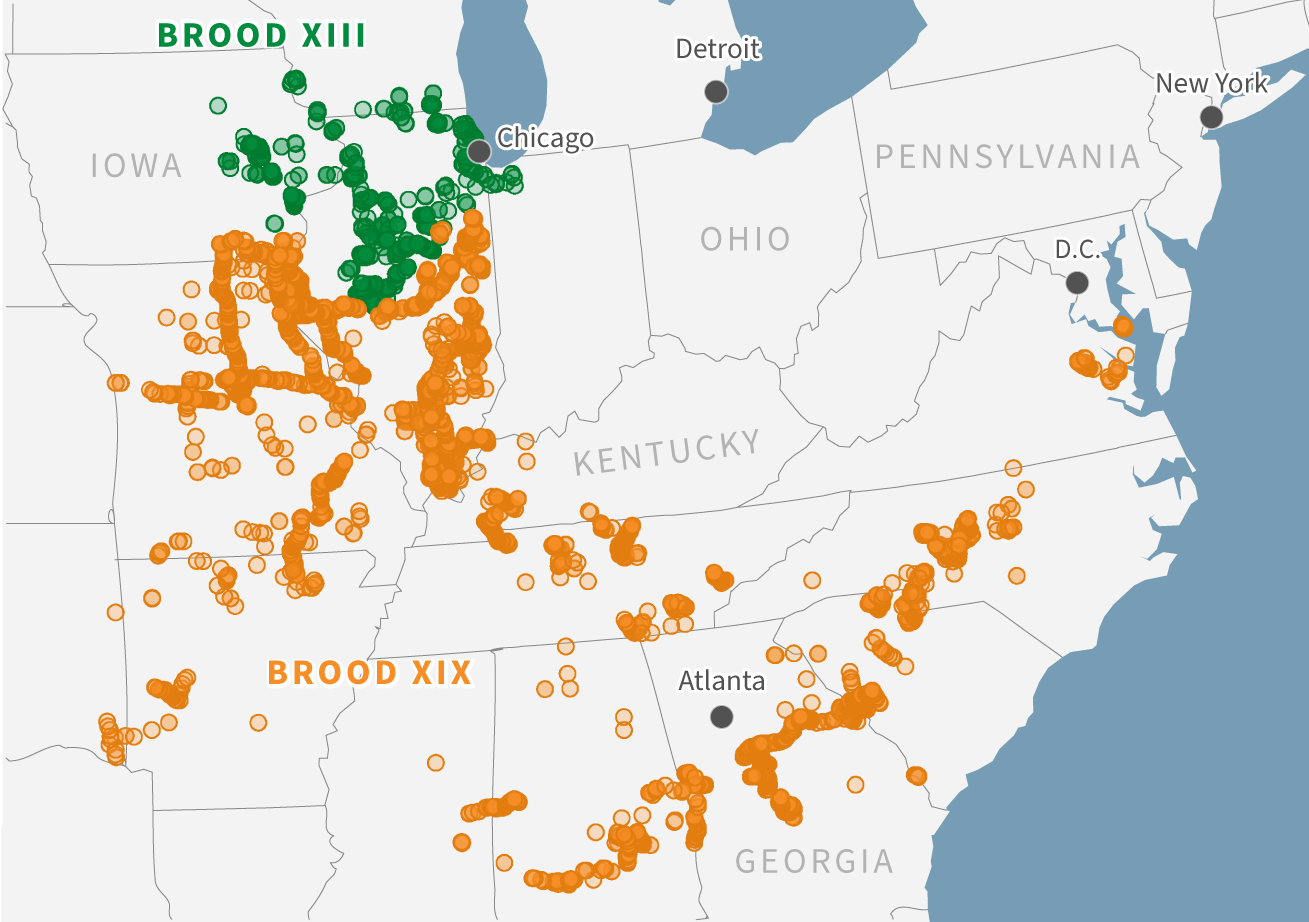 a_ket_uj_nemzedek_2024-ben_varhato_egyideju_megjelenese_university_of_connecticut_es_john_cooles_moira_warburton_20240217_reuters_infografika.png