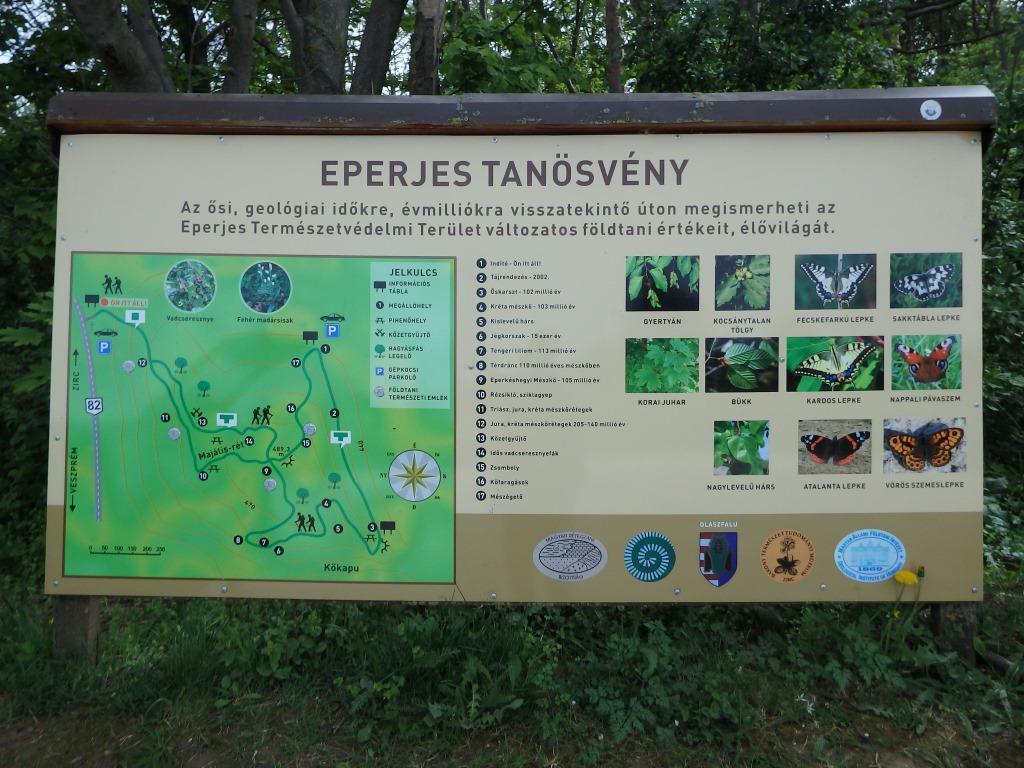 4-eperjes_tanosveny.JPG