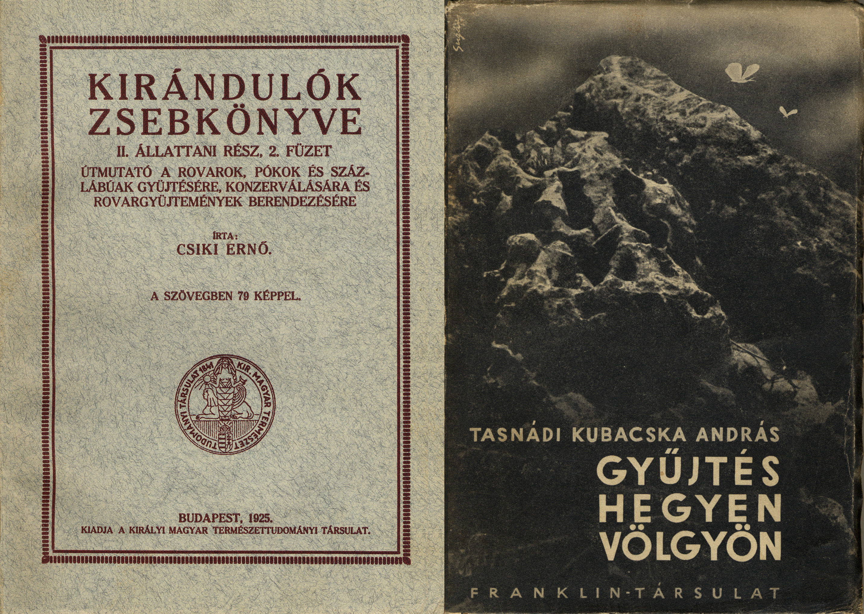 Bogarak gyűjtése és preparálása