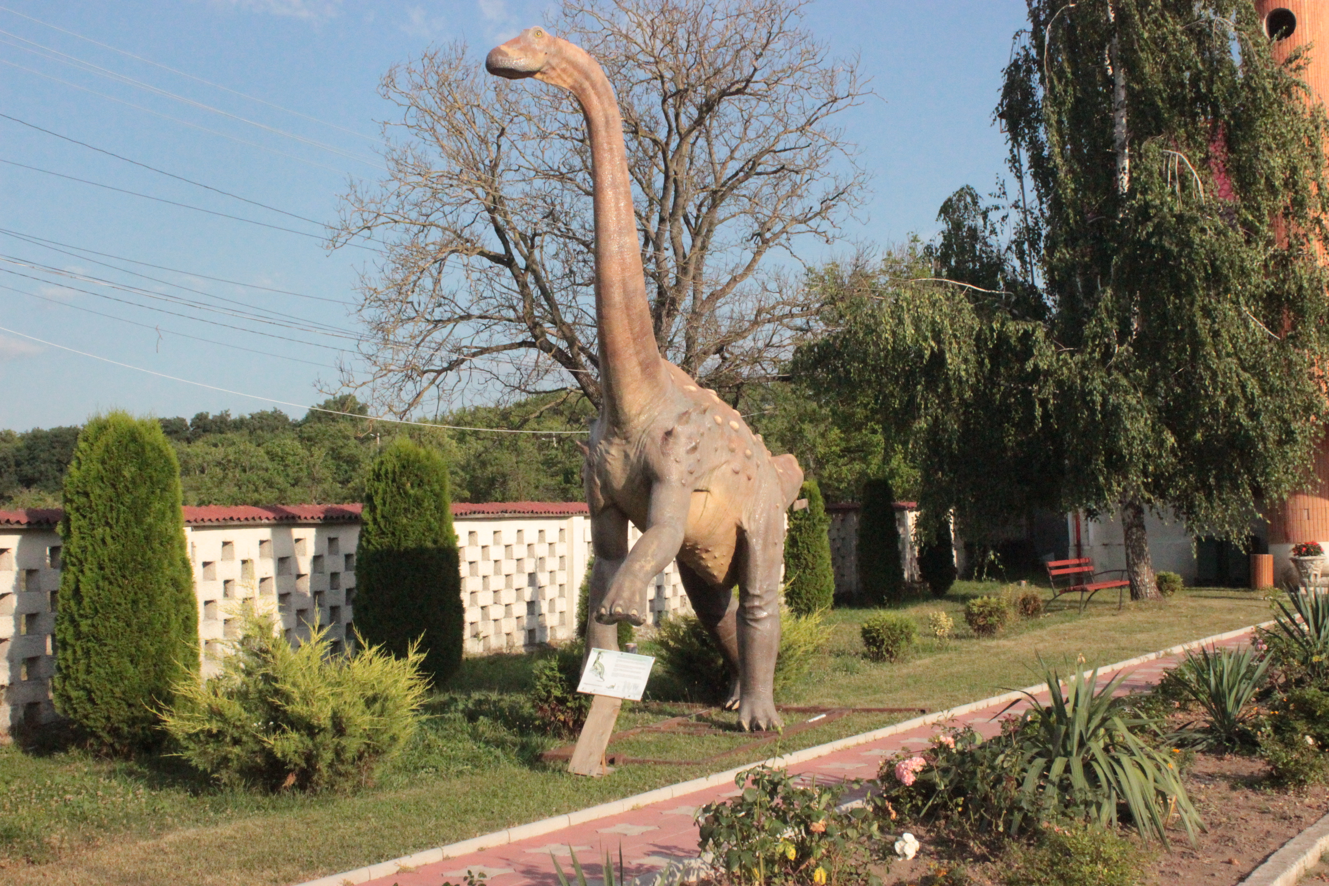 Hogyan élhettek a Hátszegi-medence dinoszauruszai?