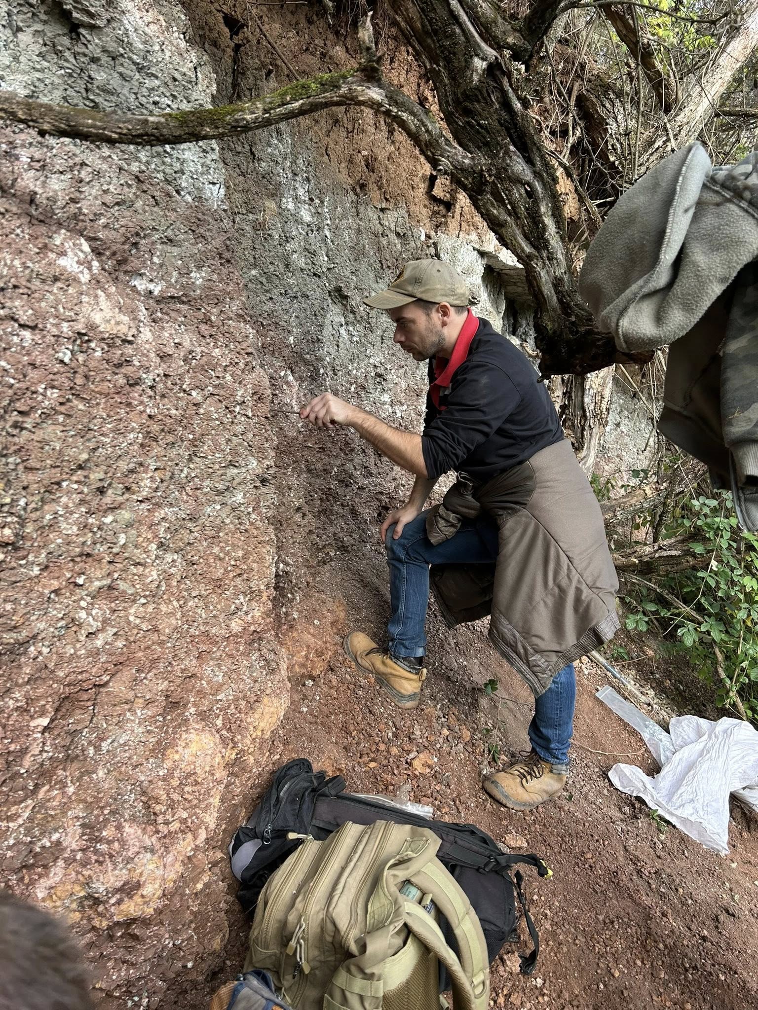 Dinoszauruszásatások évfordulója