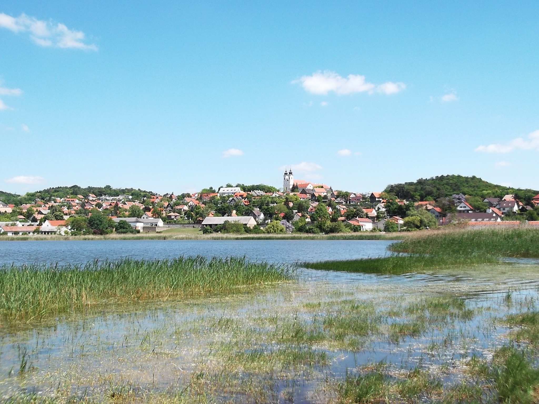 Egy elfeledett és átalakult élőhely a Tihanyi-félszigeten