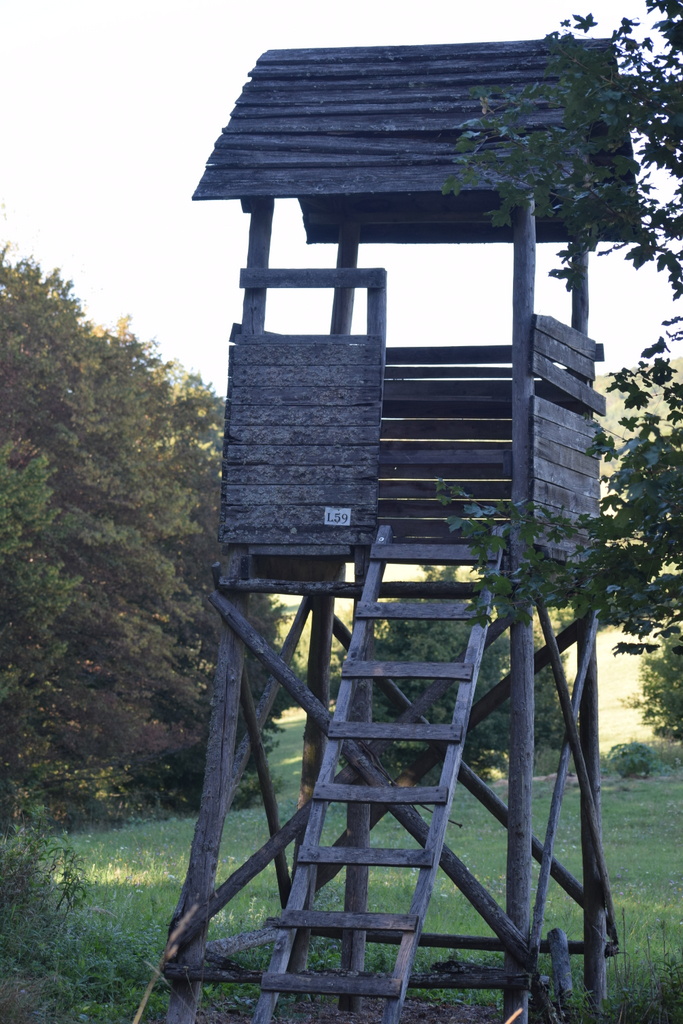 Magaslesek zuzmóvilága