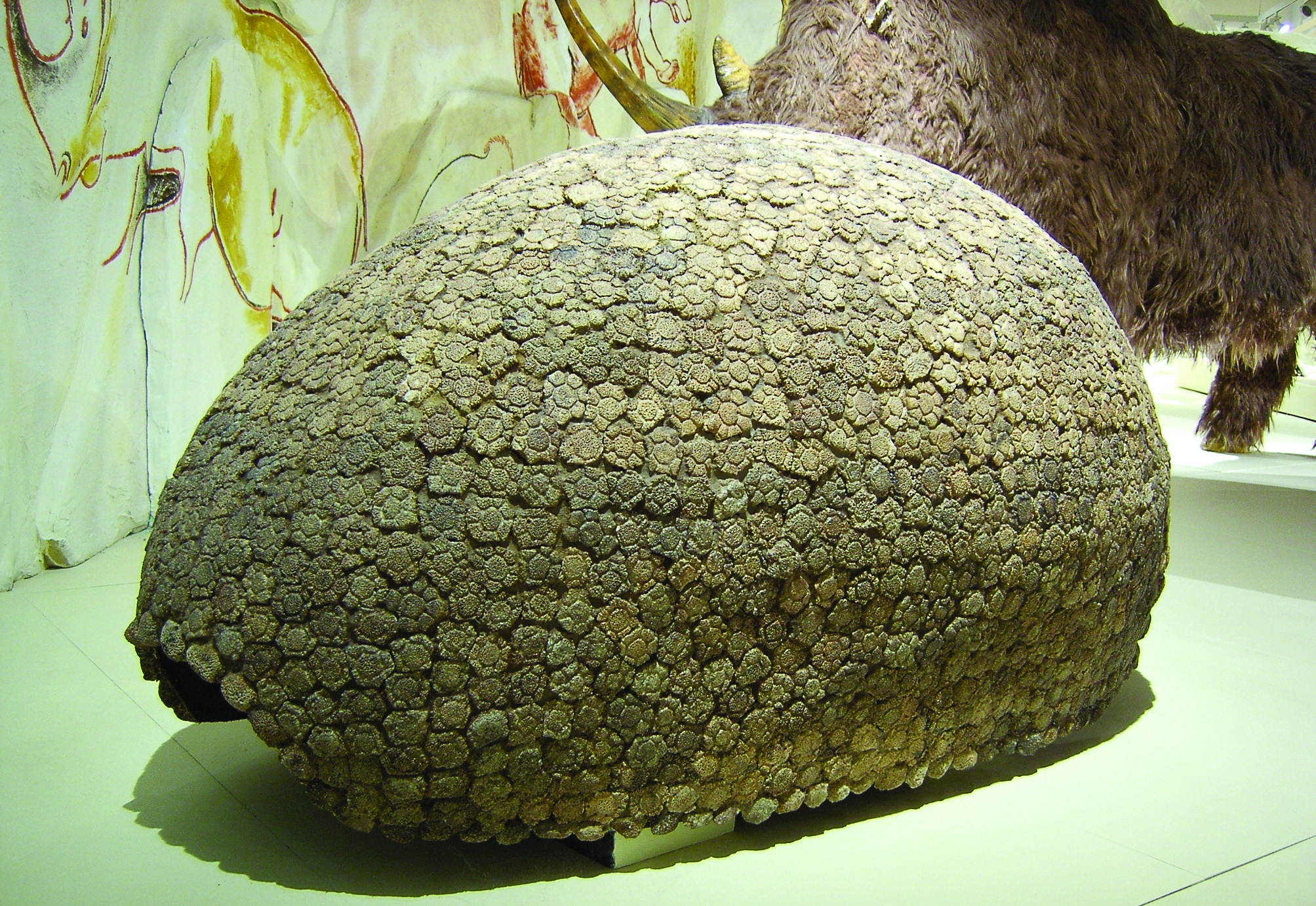 glyptodonpancel_jegkorszak_kiallitas2008.jpg