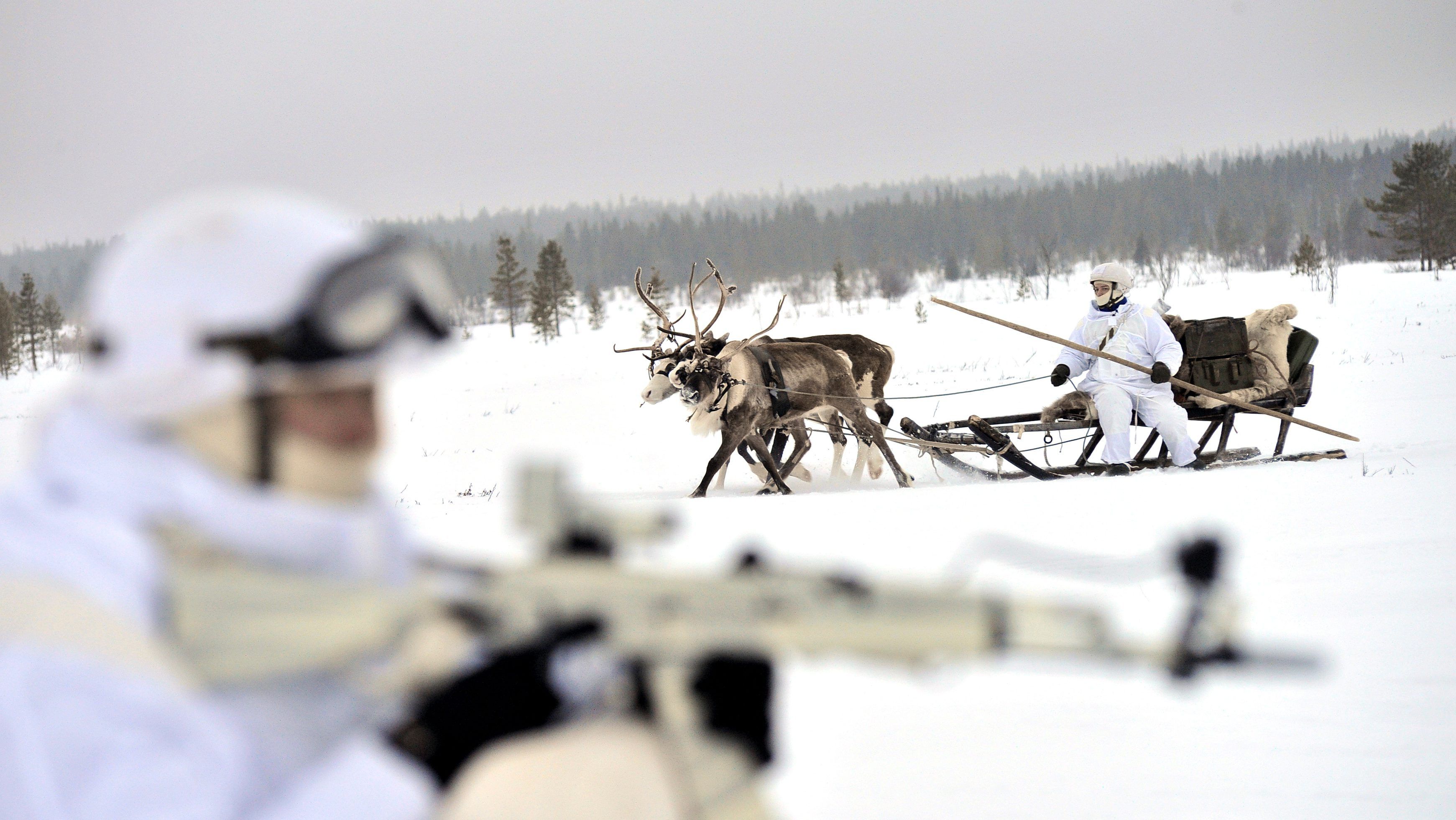 4_kep_orosz_renszarvas_russia_army_reindeer-e1485799877369.jpg