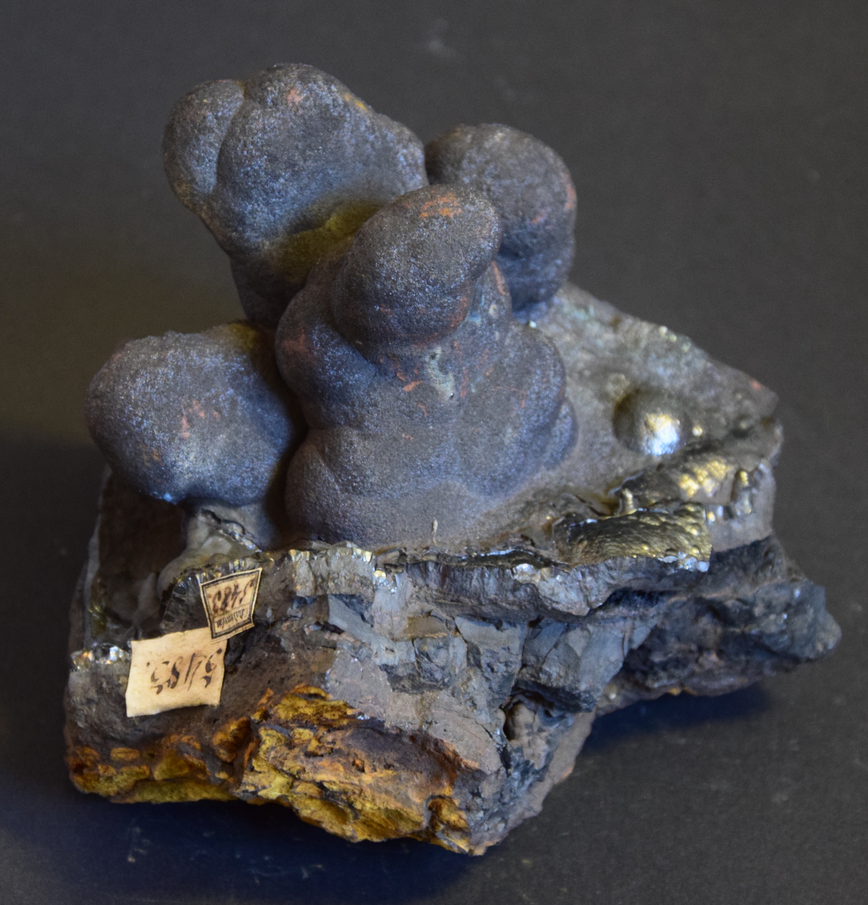 CR.5483. Limonit (Ferrum ochrac[eum] brunum, ásványrendszertani gyűjtemény) (Jánosi Melinda felvétele)