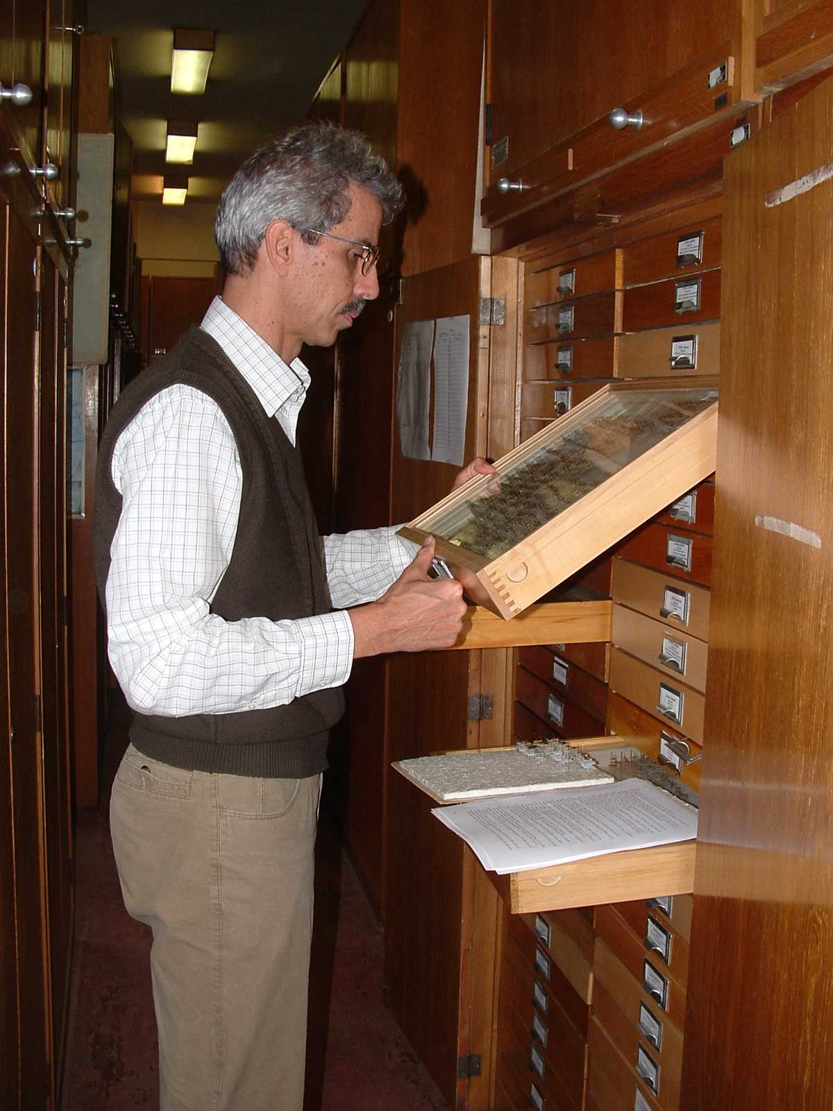 In memoriam Merkl Ottó (19572021) MNMKK Magyar Természettudományi