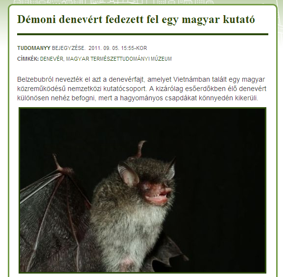 demoni_denever_csorba.jpg