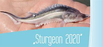 sturgeon2020.bmp