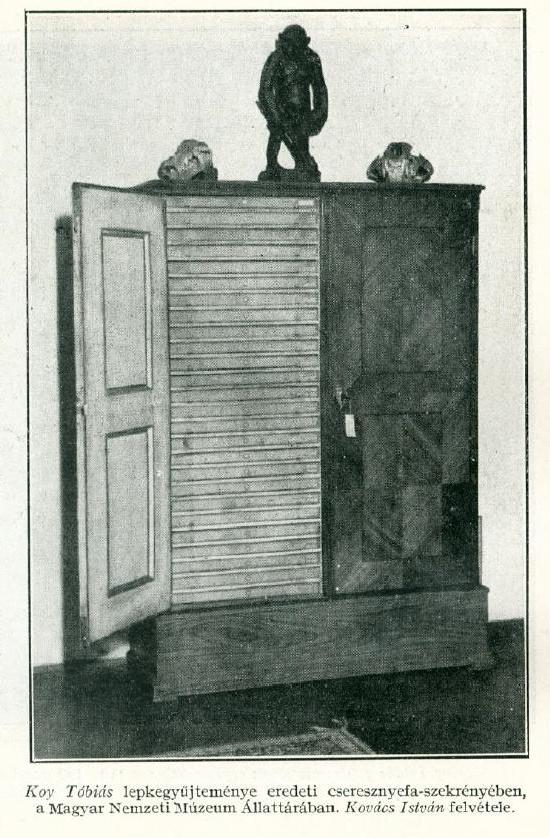 A Koy-gyűjtemény szekrénye 1941-ben.