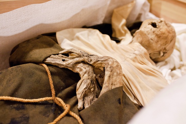ORIGO - Kaliforniai kutatók a váci múmiák nyomában