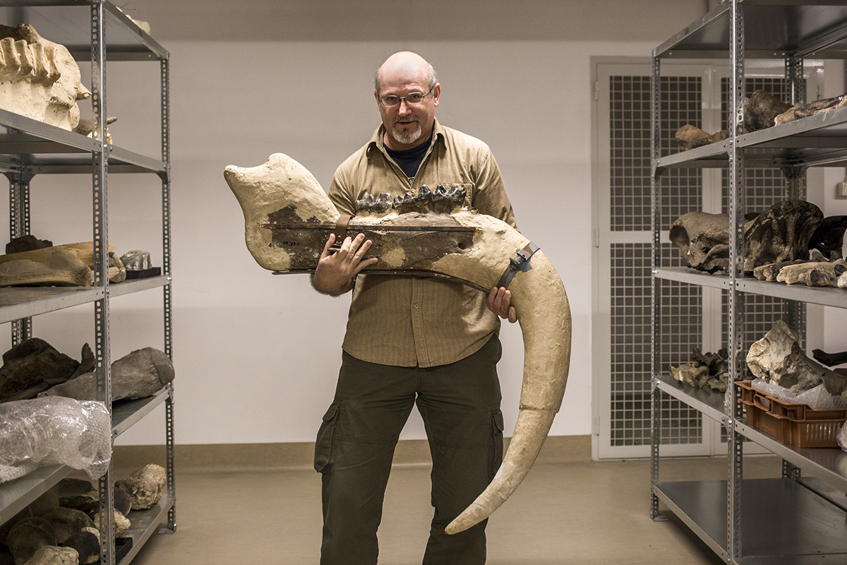 VOUS: Magyar mamuttal és jégkorszaki őslovakkal szemeztem a múzeum alagsorában