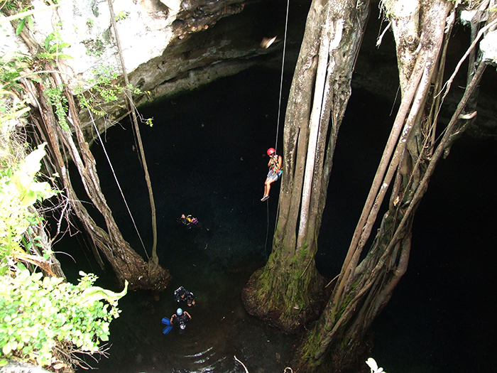 a_cenote_xaan_az_uj_faj_egyik_ismert_elohelyenek_bejarati_aknaja_web.jpg