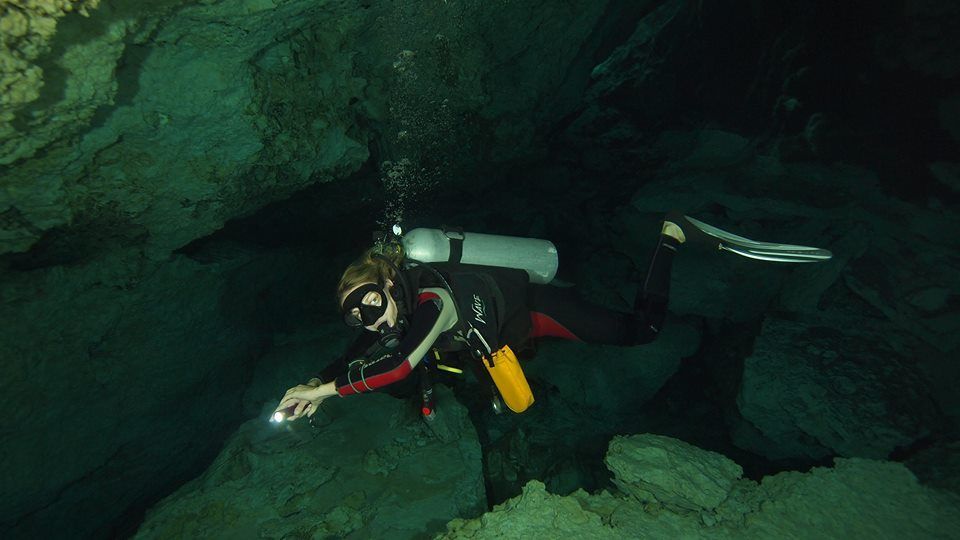Merülés egy csodás víz alatti világban. Fotó J. Vega