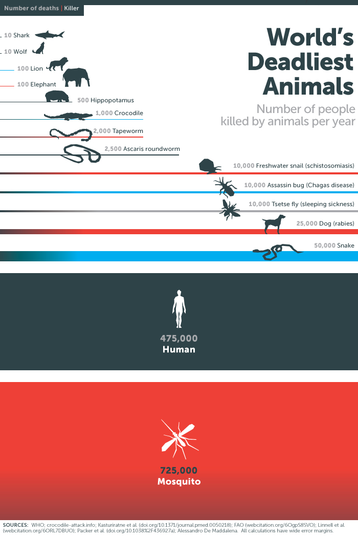 solteszzoltan_kozmuv_blog_malaria_leghalalosabb_20200424.jpg