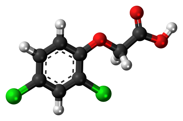 2_4-dichlorophenoxyacetic-acid-3d-balls-2_640px.png