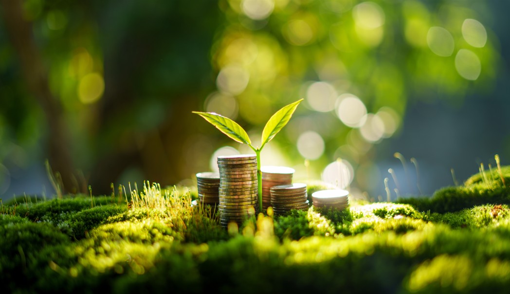 money-green-concept.jpg