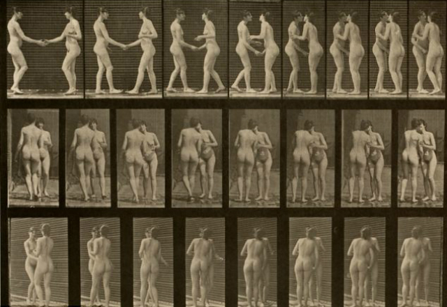 muybridge.jpg