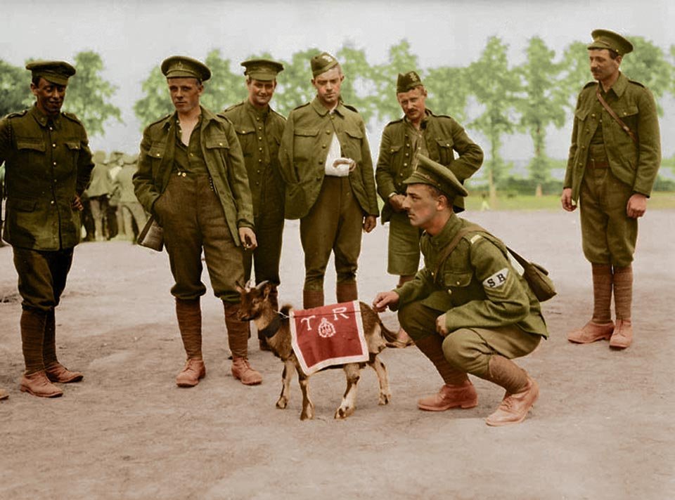 soldiers-from-the-canadian-infantry-pose-with-their-units-animal-mascot-the-pets-were-a-common-means-of-boosting-morale-in-the-midst-of-an-unimaginably-violent-conflict.jpg