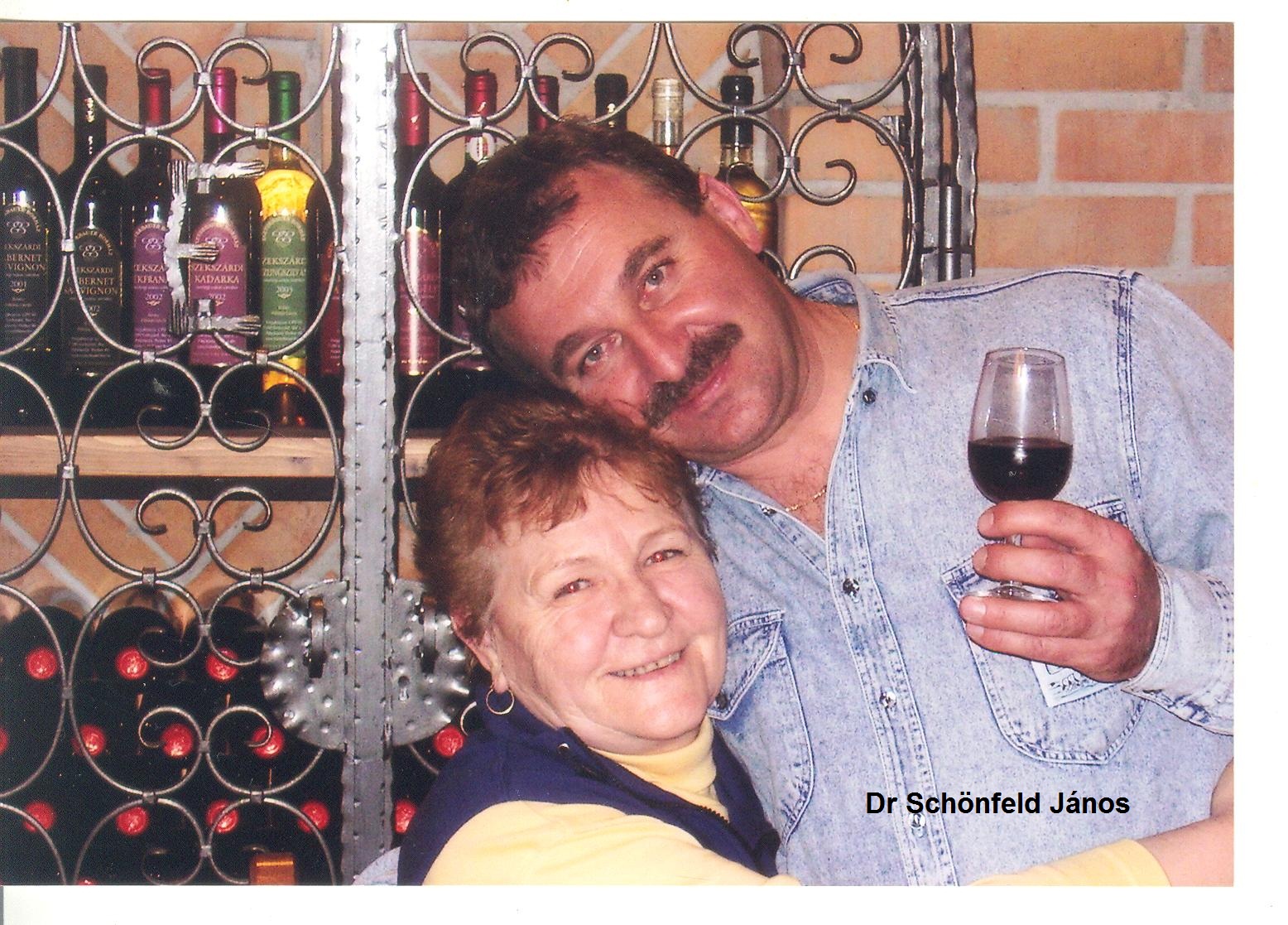 dr_schonfeld_jabos_sebesz.jpg