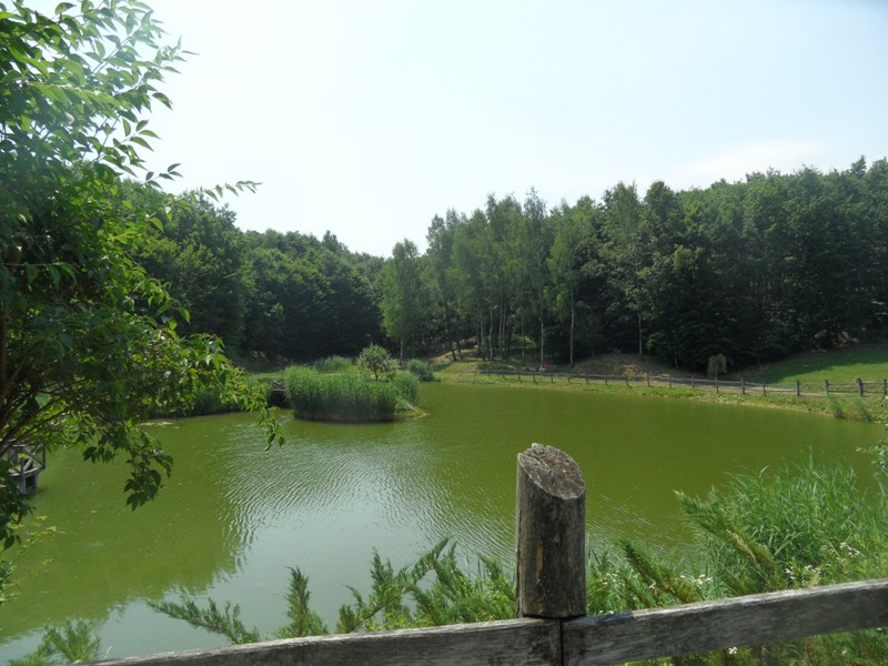 sam_6213_masolata.JPG