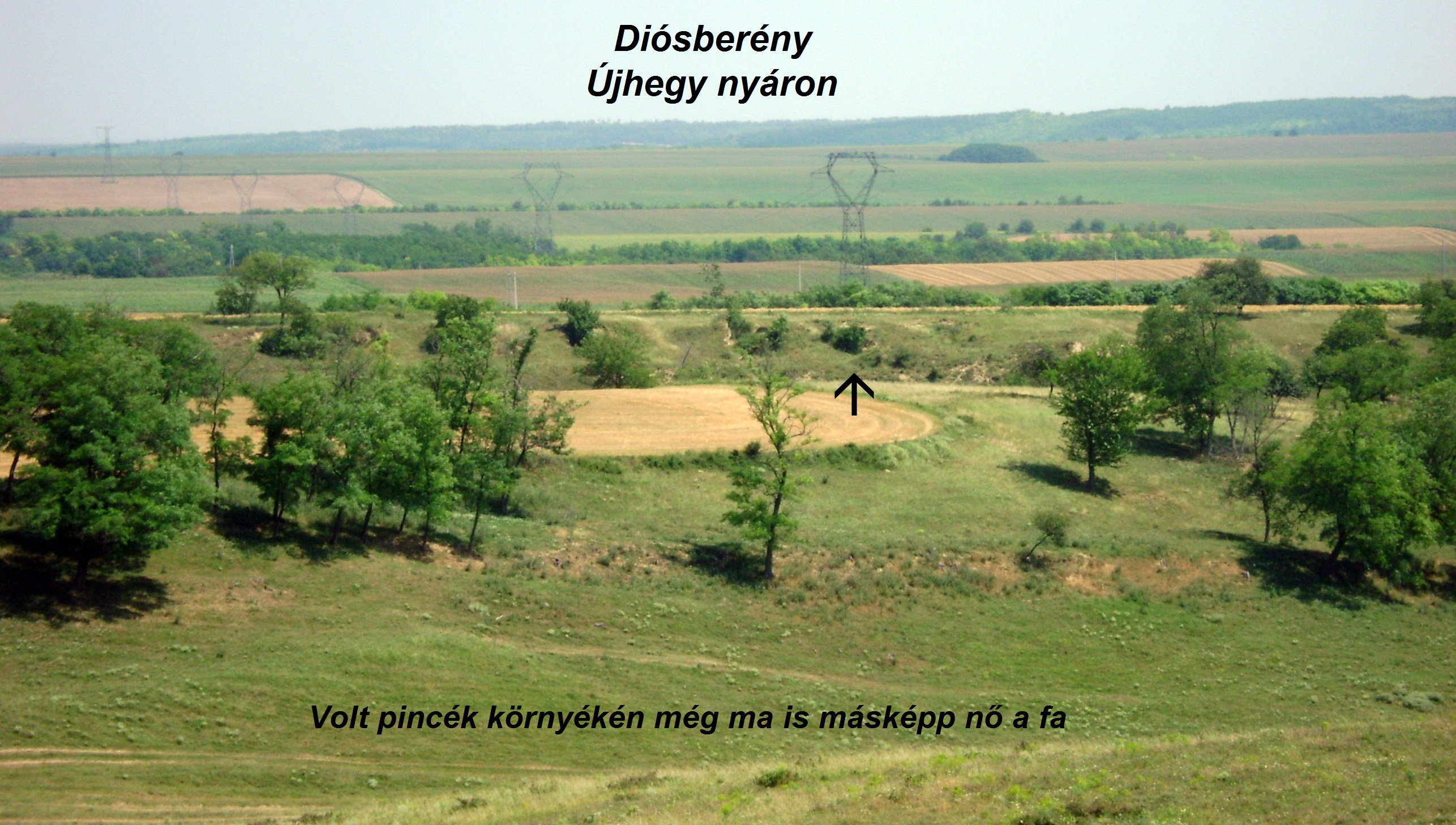 kistelek_228-crop.JPG