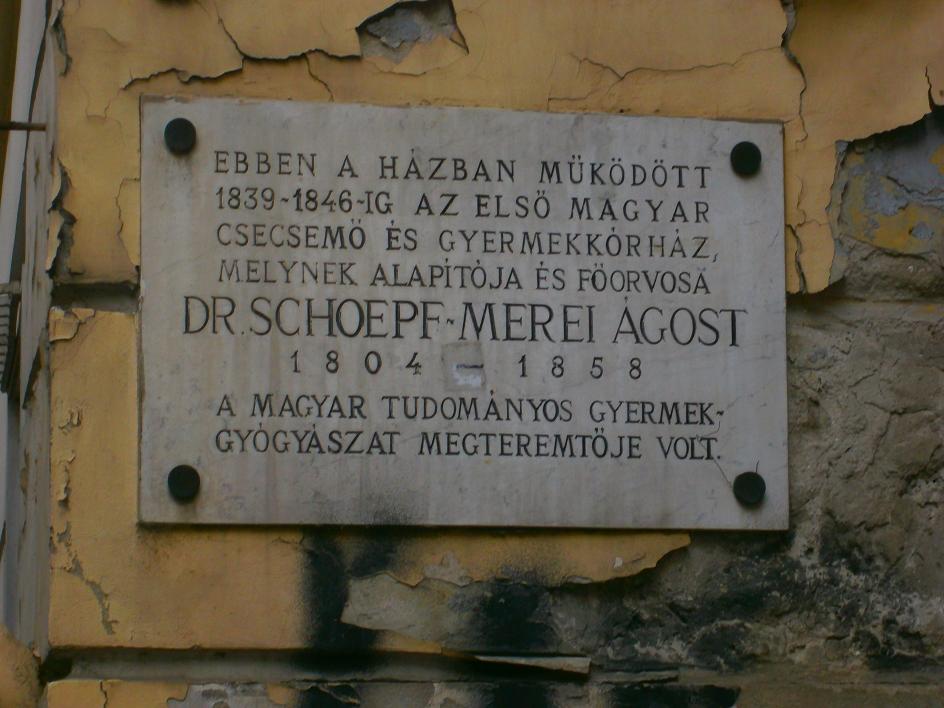 szegyenfolt8.JPG