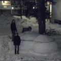 A tavasz első fuvallata és talán az utolsó téli képek