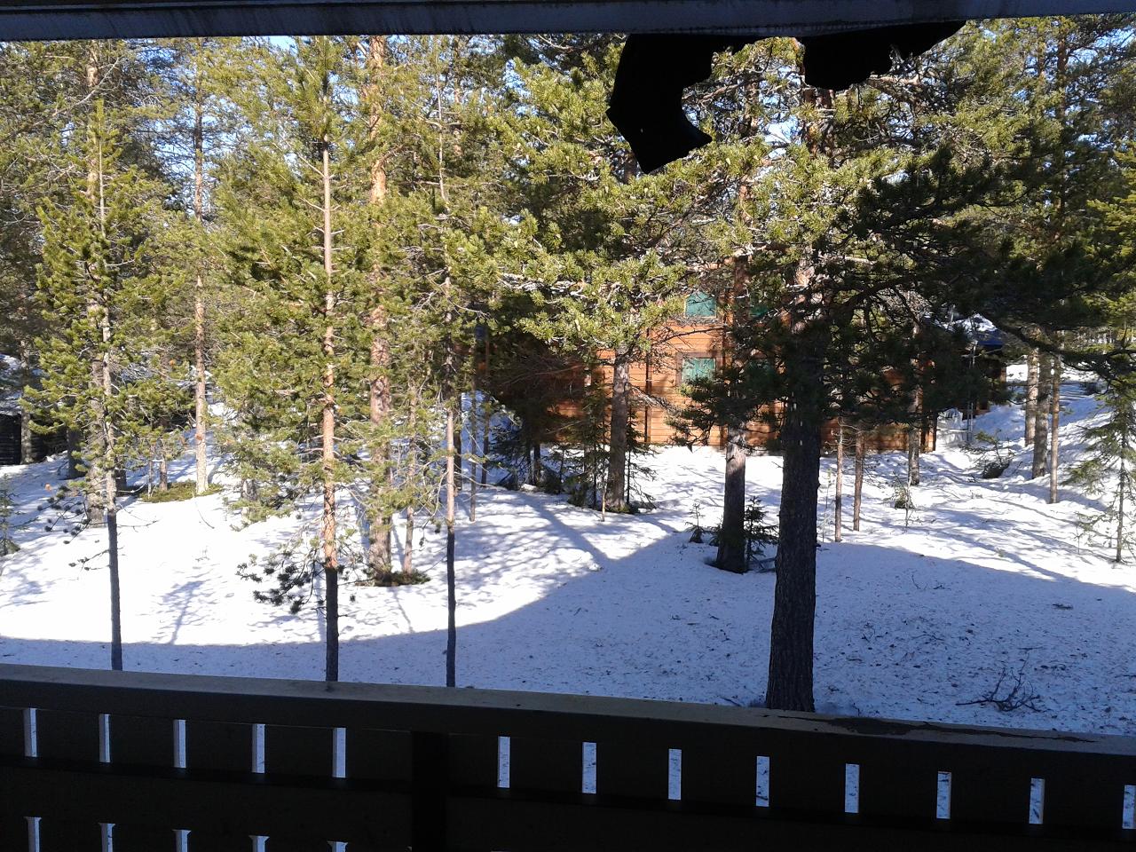 2013-04-18 10.30_1.JPG
