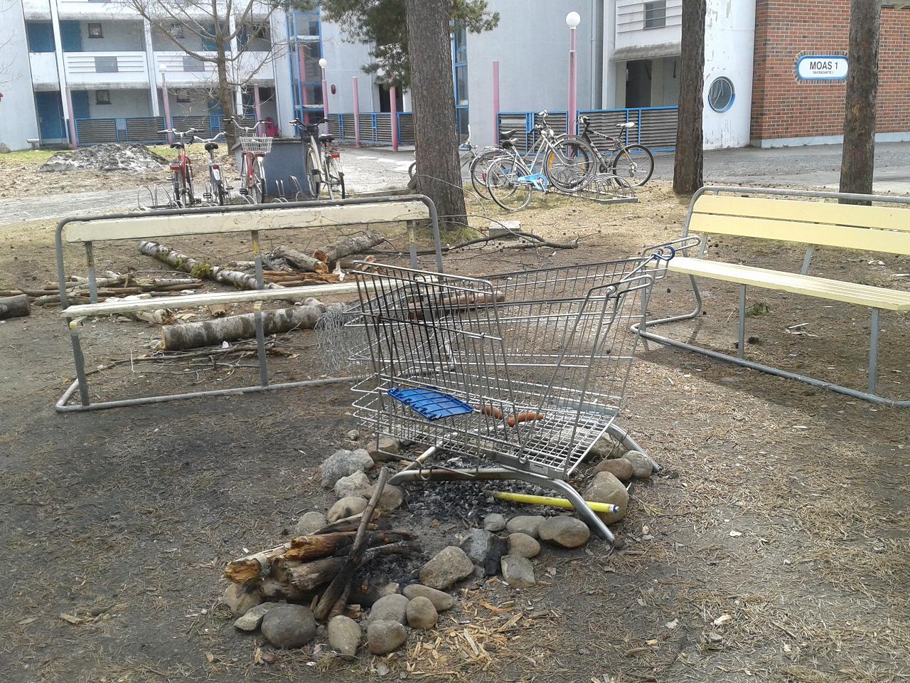 2013-04-29 13.34_1.JPG