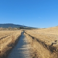 El Camino Francia út: 4. nap - Pamplona - Uterga (16,9 km)