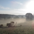 Camino Primitivo: 12. nap - Ferreira - Boente (25,6 km)