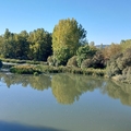 El Camino - Francia út: 18. nap, Castrojeriz - Boadilla del Camino (19 km)