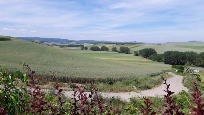 El camino, Francia Út, szép táj