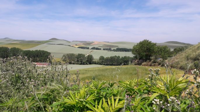 El camino, Francia Út, szép táj