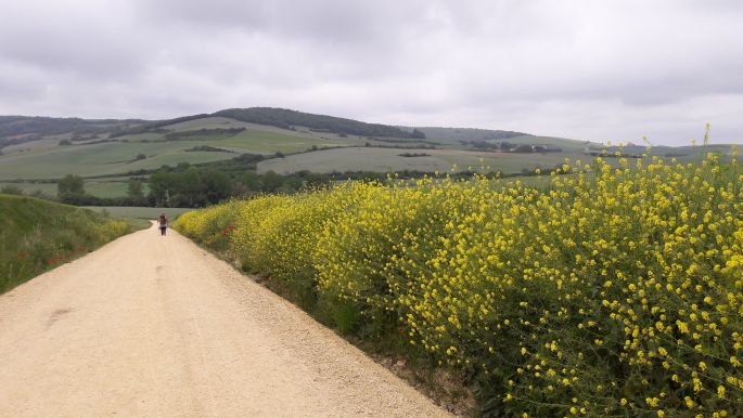 El camino, Francia Út, az út maga