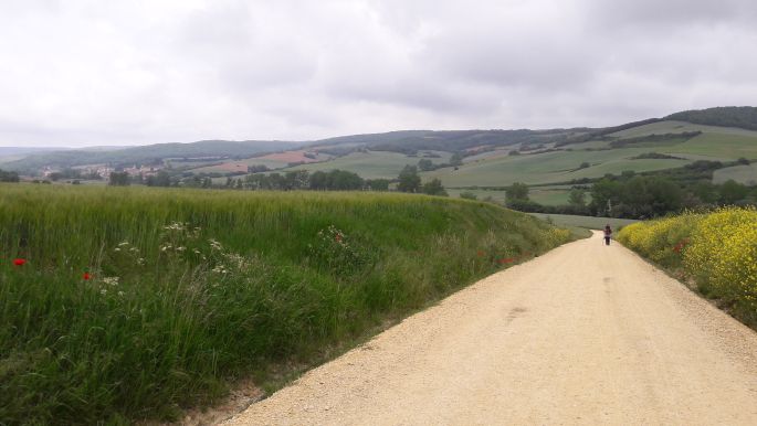 El camino, Francia Út, az út