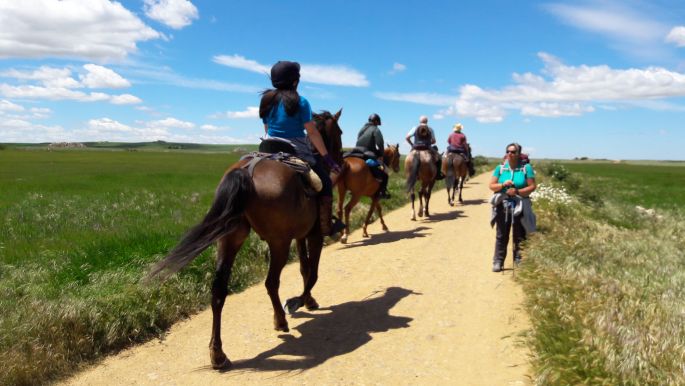 El camino lovas zarándokok