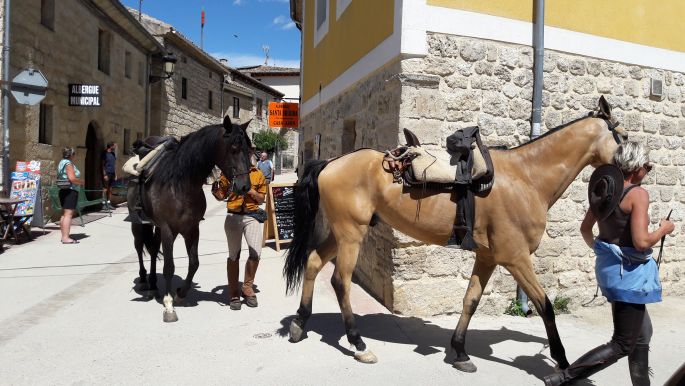 El camino lovas zarándokok