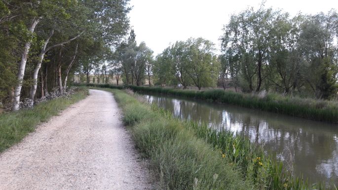 El camino, Francia Út, Canal de Castilla