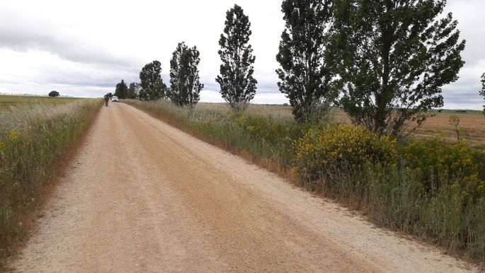 El camino, Francia Út, út a Mesetán