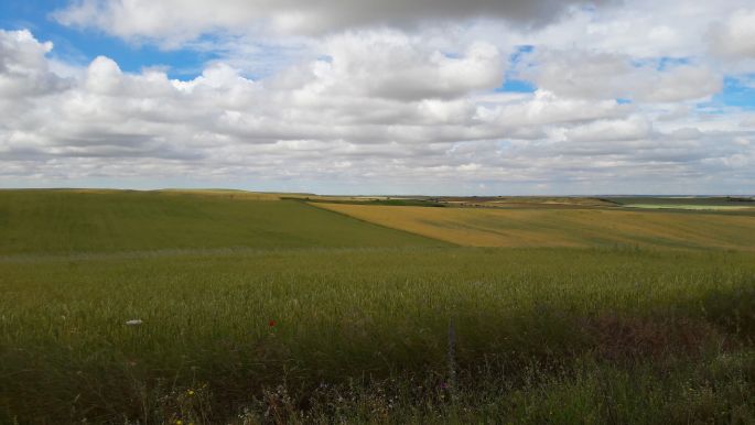 El camino, Francia Út, csend, nyugalom, mezők