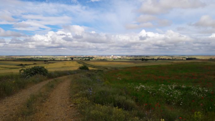 El camino, Francia Út, a távolban már Sahagún, az út végén meg keresztben közlekednek a zarándokok... de akkor én milyen úton járok?