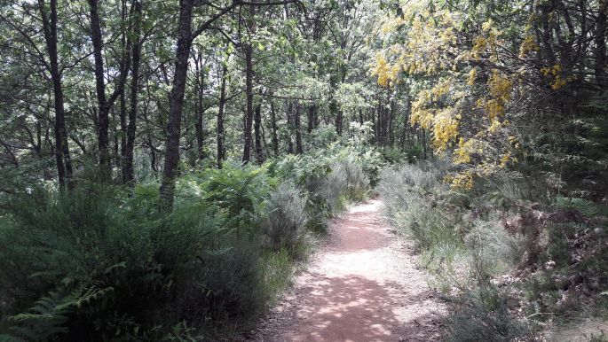 El camino, Francia Út, út