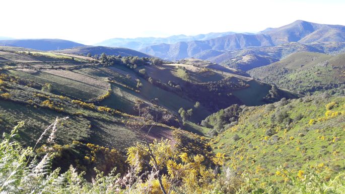 El camino, Francia Út, galíciai táj